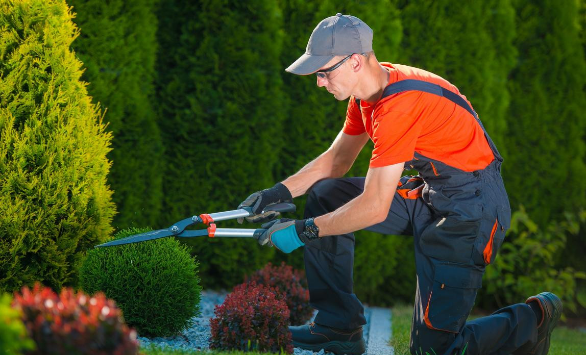 Sebastian Landscaping Services Image